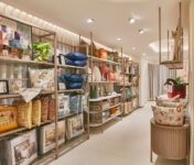 lifestyle experience