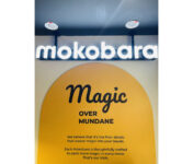 Mokobara store fixture design